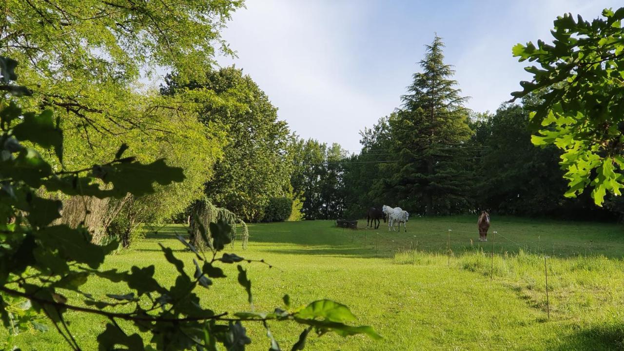Hotel Domaine Du Cardou Puy-lʼÉvêque Exteriér fotografie